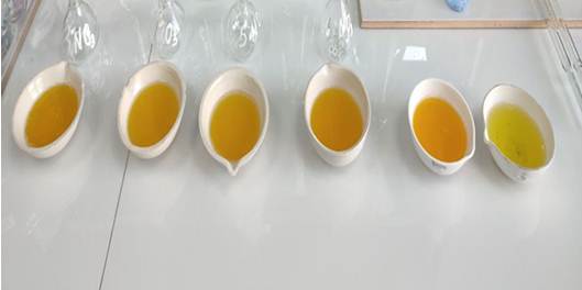 МАГІСТР ПОСІВ 1 МІСЦЕ У РЕГІОНАЛЬНІЙ КОНФЕРЕНЦІЇ  «МОЛОДІЖНИЙ ЕКОГЕОФОРУМ – 2023»