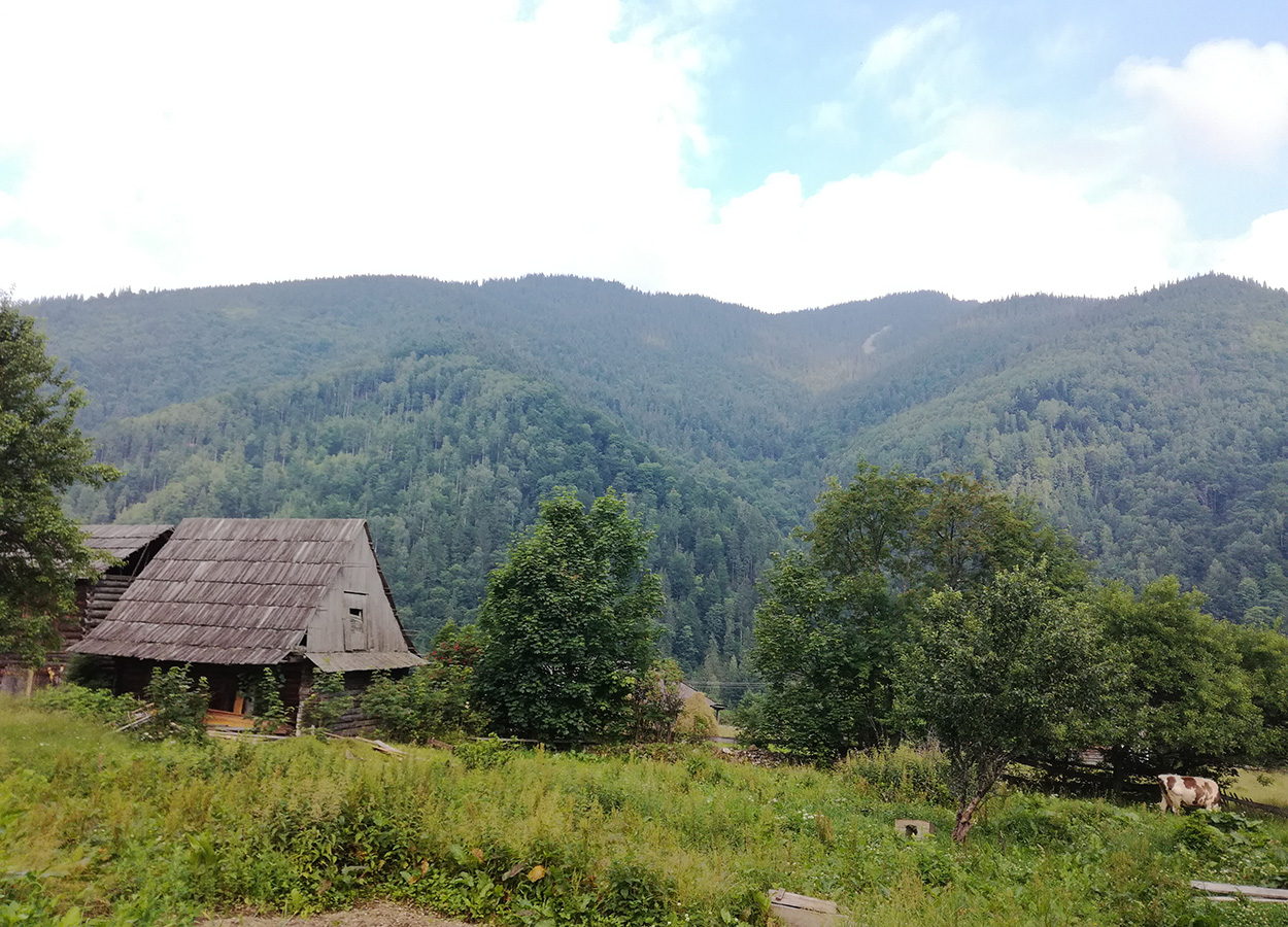 На вершині
