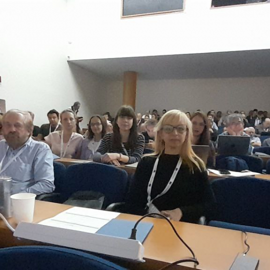 Науковиця ІФНТУНГ представила напрацювання на конференції з нанотехнологій 
