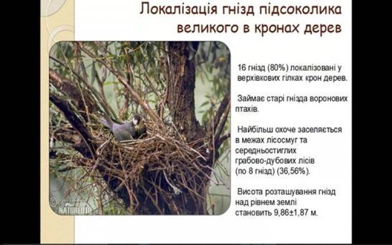 ІІ етап Всеукраїнського конкурсу-захисту науково-дослідницьких робіт