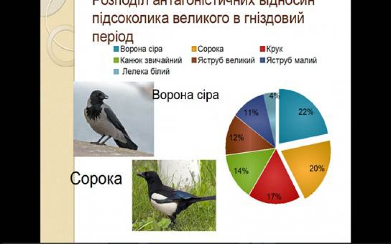 ІІ етап Всеукраїнського конкурсу-захисту науково-дослідницьких робіт