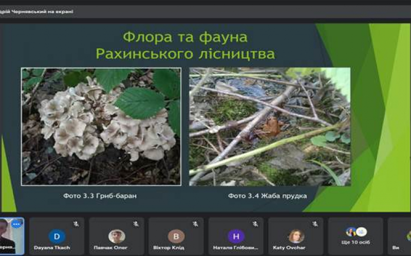 ІІ етап Всеукраїнського конкурсу-захисту науково-дослідницьких робіт