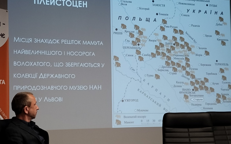 Старуня