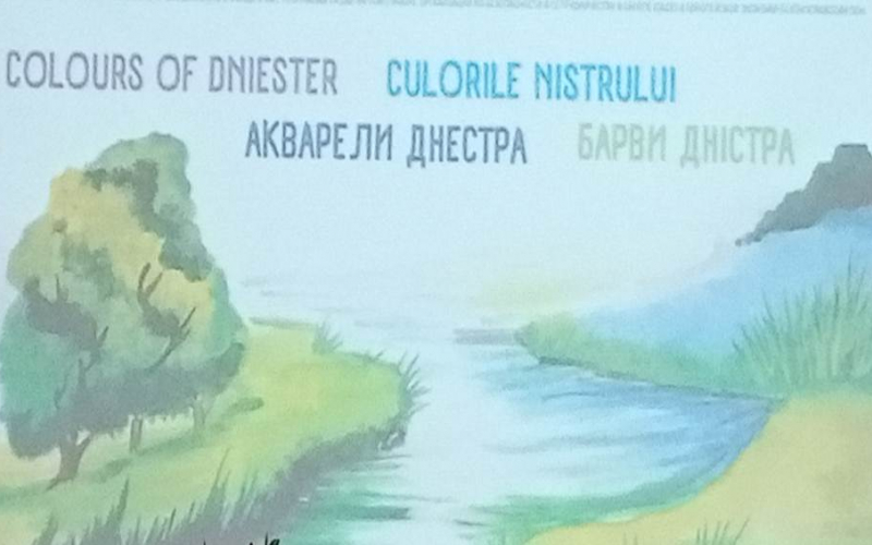 МІЖНАРОДНИЙ БАСЕЙНОВИЙ КОНКУРС «БАРВИ ДНІСТРА»