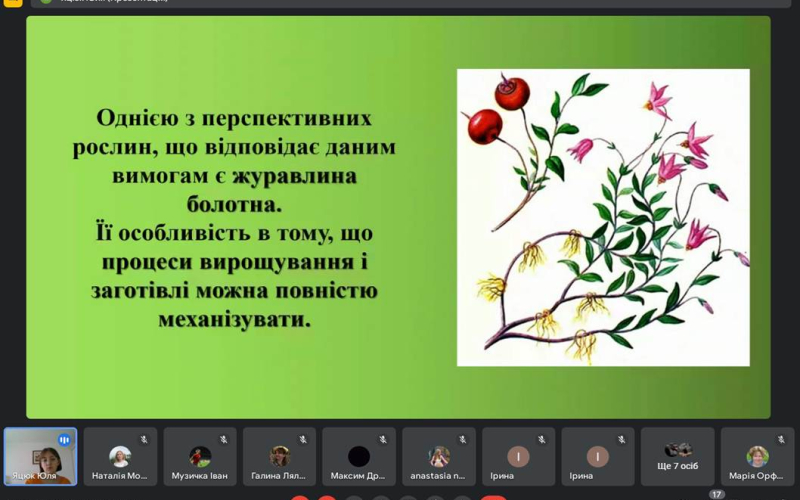 ІІ етап Всеукраїнського конкурсу-захисту науково-дослідницьких робіт учнів-членів МАН