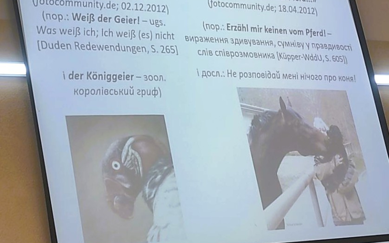 БІНАРНІ ЛЕКЦІЇ НА КАФЕДРІ ФІЛОЛОГІЇ ТА ПЕРЕКЛАДУ