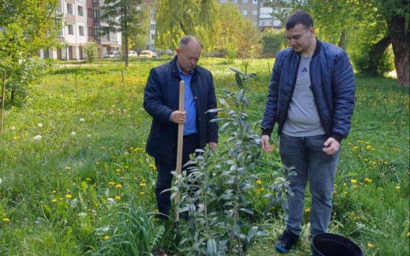 Студенти - екологи підвищення рівня озеленення міста Івано-Франківська