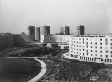 55